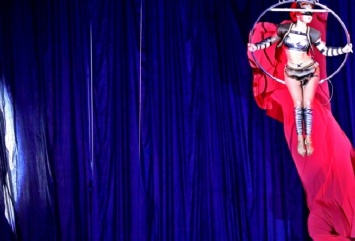 В запорожском цирке показали красивую премьеру - фото
