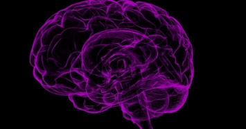 Ученые увидели, как «выглядит» грусть в человеческом мозге