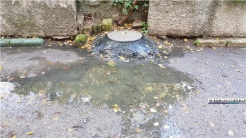 Жители переулка Юннатов в Керчи уже год соседствуют с канализационным «озером»