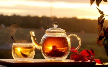 Ученые выяснили, как употребление чая влияет на организм человека