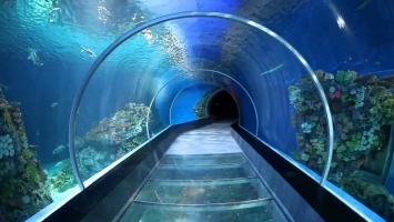 В Китае открыли самый глубокий в стране тоннель метро, проходящий под водой