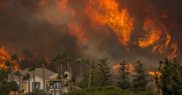 Голливуд превратился в ад: Трамп объявил Калифорнию зоной стихийного бедствия