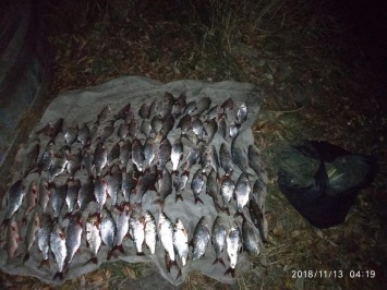 В Новоодесском районе Николаевский рыбоохранный патруль поймал браконьера, сетями добывшего 15 кг рыбы, и пресек установку 30 раколовок