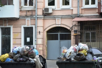 Раздельный сбор мусора: в Одессе занялись изучением сортов отходов