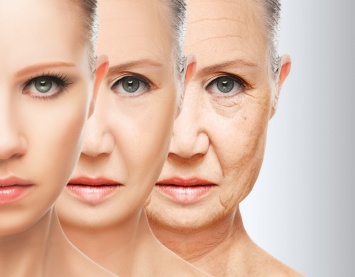 Найдены многообещающие соединения против старения