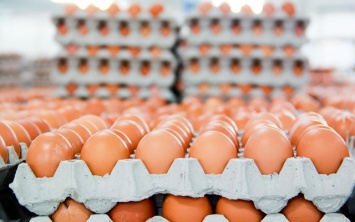 Почему эксперты не берутся прогнозировать цены на яйца