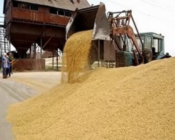 Украина наращивает экспорт сельхозсырья вместо промышленной продукции
