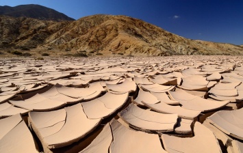 Аномальные дожди в самой засушливой пустыне привели к смерти организмов