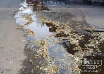 На одной из улиц Кривого Рога прорвало водопровод