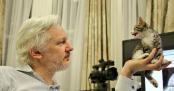 Основателю WikiLeaks предъявили обвинения в США