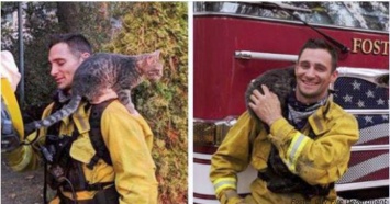Пожарные спасли кота от пожара. Теперь тот от них - ни на шаг!