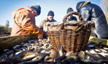 Законодательство не определят, каким должен быть рыбоприемный пункт