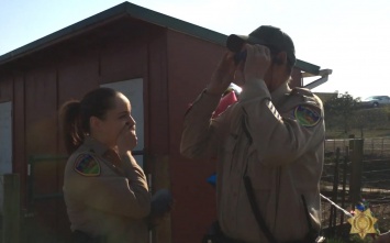 Коллеги подарили шерифу с дальтонизмом специальные очки. Он увидел настоящие цвета первый раз в жизни