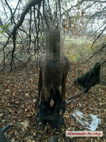 В Николаеве в лесополосе у железной дороги обнаружен полуразложившийся труп