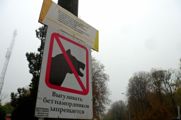 В Одессе владельцы собак массово нарушают правила выгула животных, а на замечания - хамят
