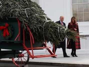 В Белый дом привезли рождественскую елку
