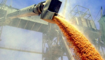 За девять месяцев Николаевщина экспортировала 3 млн.809 тыс. тонн зерна