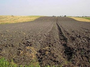 На Николаевщине суд отобрал у фермеров полученную в наследство землю