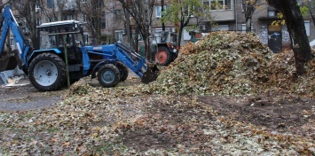 Из запорожских дворов вывозят тонны опавших листьев