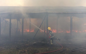 На Закарпатье произошел крупный пожар на складе