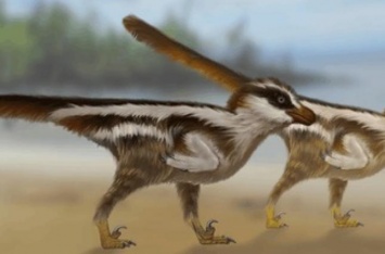 Палеонтологи обнаружили самые маленькие следы динозавров