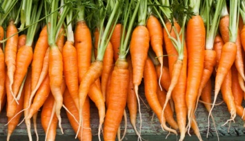 Из кухни Кривоозерской ЦРБ изъяли партию морковки - в ней было много нитратов