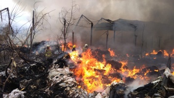 Крупный пожар в Виноградове спасатели тушили более 4 часов
