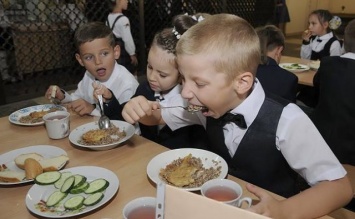 Что едят наши дети: цифра отравлений среди школьников поражает