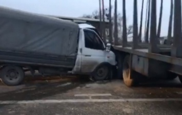 Под Киевом автомобиль влетел в лесовоз: образовалась пробка (видео)