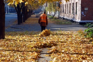 В районах города Николаева будут убирать листву, когда появятся деньги