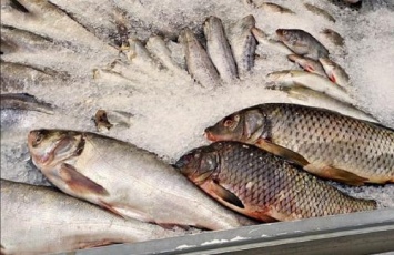 В Башкортостане 25 человек заразились паразитами от свежей рыбы