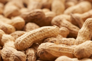 Аллергия на арахис и новая противо-аллергенная терапия