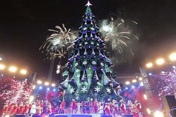 В киевской мэрии определили высоту главной новогодней елки