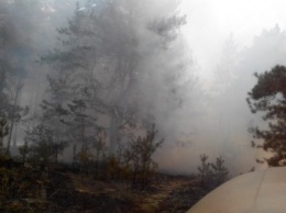 В сети появилось видео пожара на Хортице