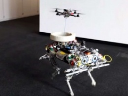 Посмотрите, как дрон приземляется на робота-пса
