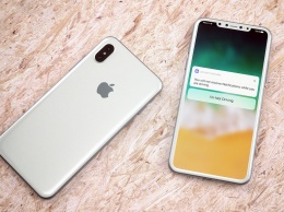 В сети появилось фото упаковки iPhone 8 с двойной вертикальной камерой