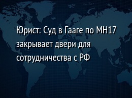 Юрист: Суд в Гааге по MH17 закрывает двери для сотрудничества с РФ