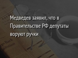 Медведев заявил, что в Правительстве РФ депутаты воруют ручки