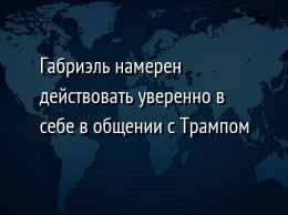 Габриэль намерен действовать уверенно в себе в общении с Трампом