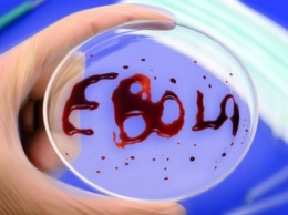 Минздрав России ожидает итоги тестов вакцины против Эболы на людях в декабре