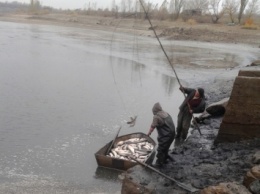 Любительский вылов рыбы в Украине может стать платным