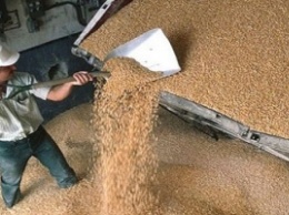 Аграрный фонд накопил необходимое количество зерна