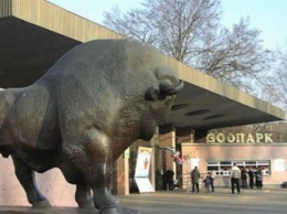 Киевский зоопарк меняет график работы