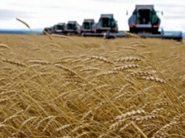 Аграрии намолотили более 40 млн тонн зерна