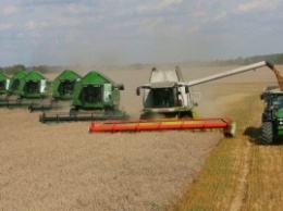 Минсельхоз увеличит сбор зерновых к 2025 году до 130 млн тонн