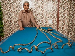 Отращивавший ногти с 1952 года индиец побил мировой рекорд