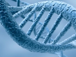 Компания BioViva провела первую в мире операцию по редактированию генов старения