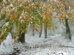 Пользователи соцсетей со всей России делятся фотографиями первого снега