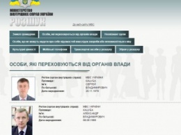 МВД объявило в розыск экс-замглавы "Нафтогаза" Кацубу и его брата