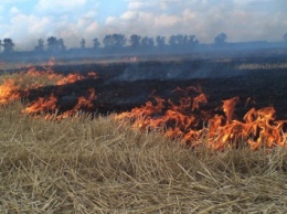 С начала года в Киеве зафиксировали почти 700 пожаров в экосистемах, пожароопасность сохраняется
